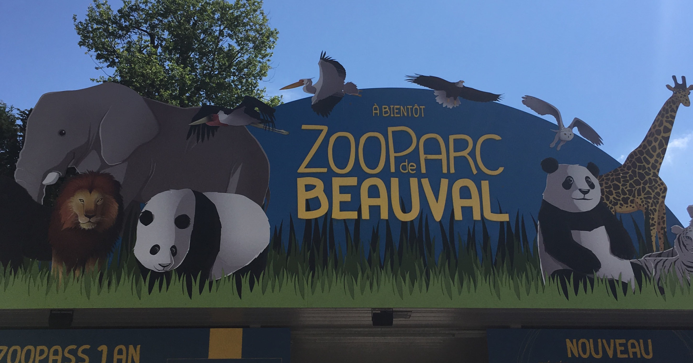Le Zoo de Beauval une sortie idéale en famille
